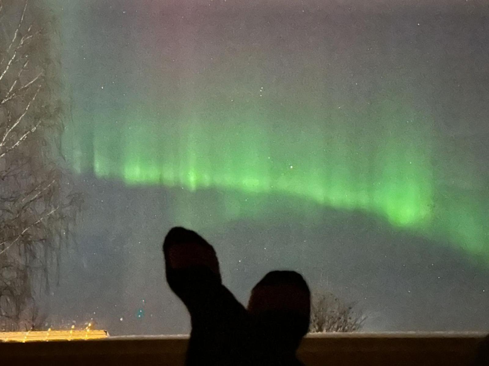 Arctic River Chalet ロヴァニエミ エクステリア 写真